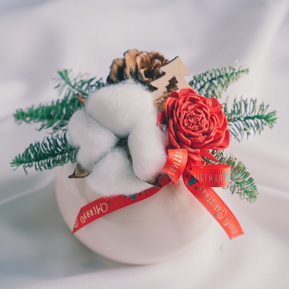 【 森之語・聖誕圓舞曲 】耶誕小盆花