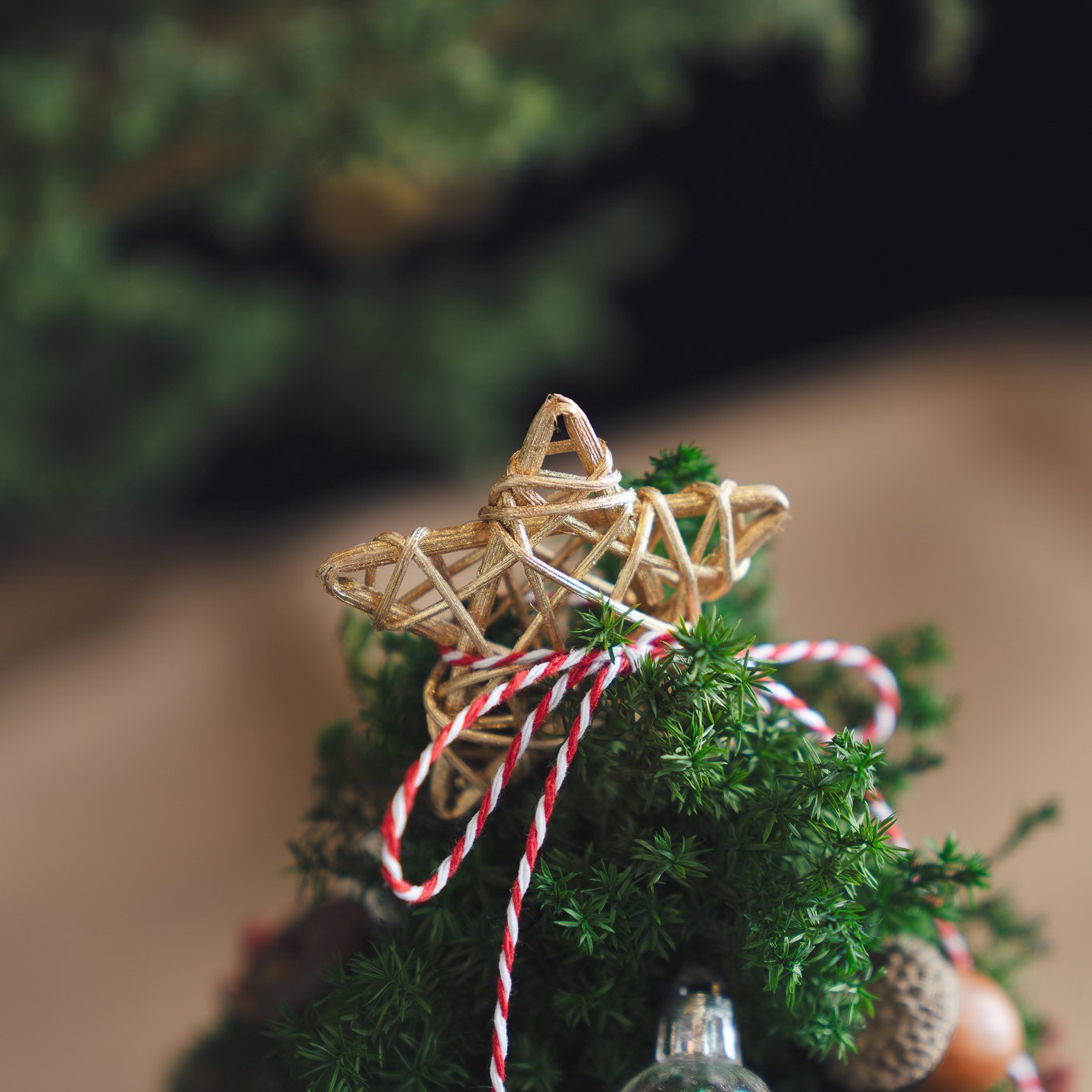 【 森之語・許願雪松 】許願小聖誕樹