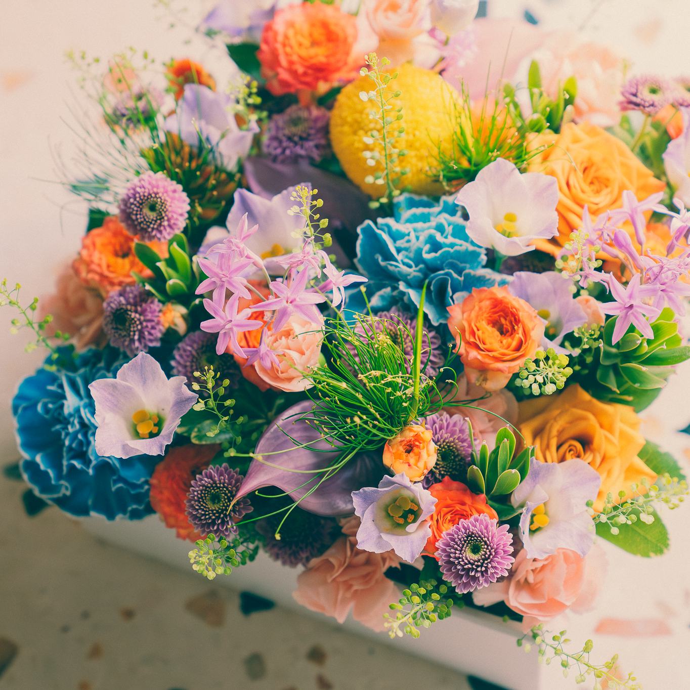 收藏花園 | 鮮花創作立體畫(1/11)