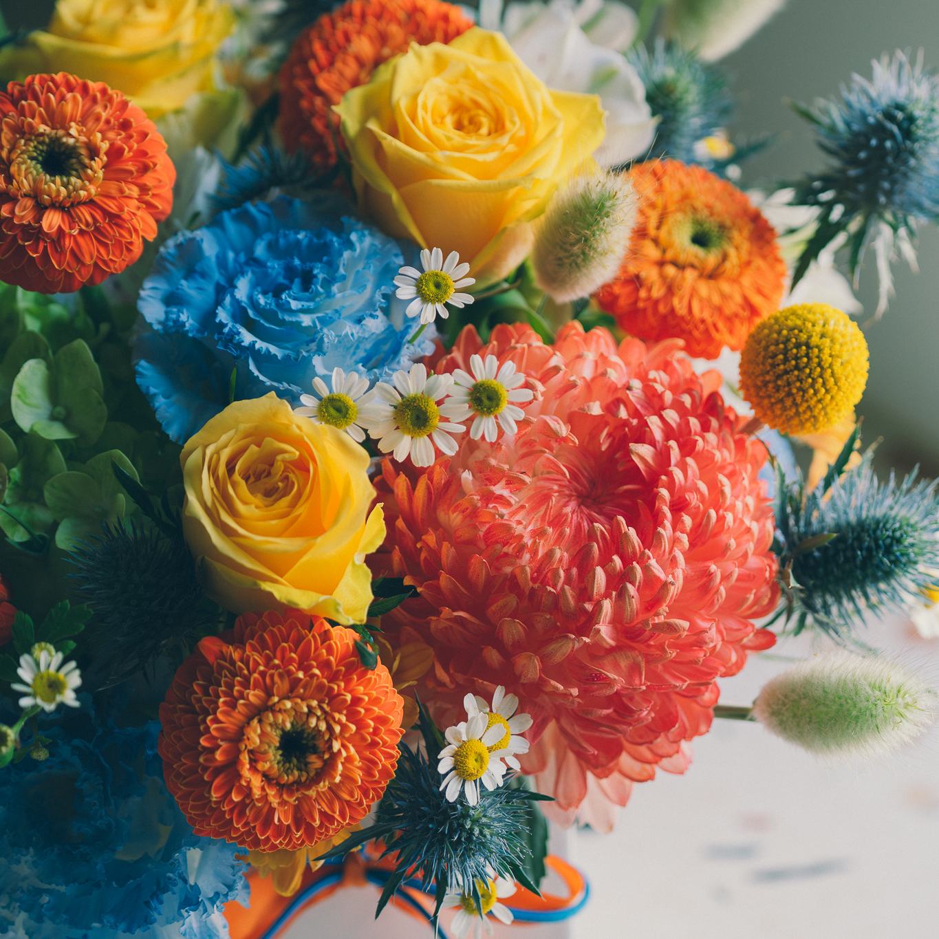 冬日祝福 | 鮮花盆花課程(1/24)