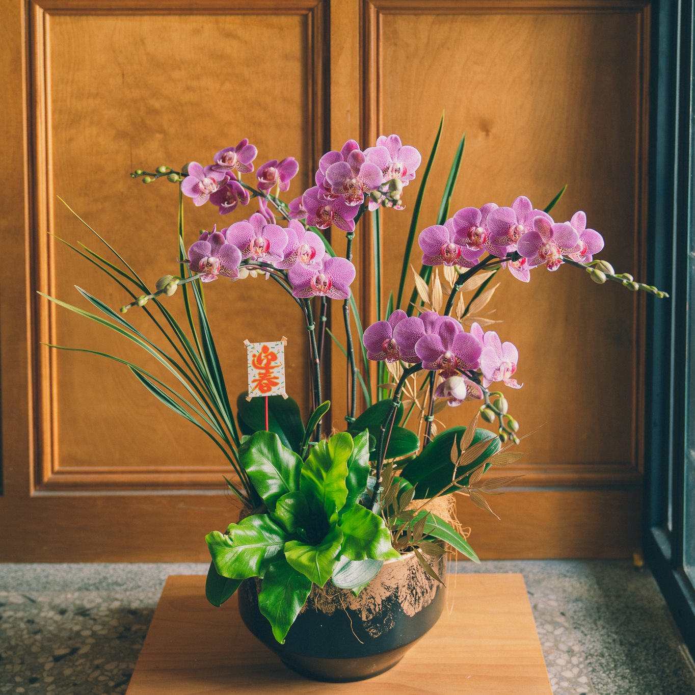 | 墨金・呈祥 | 黑色刷金藝術盆蘭花