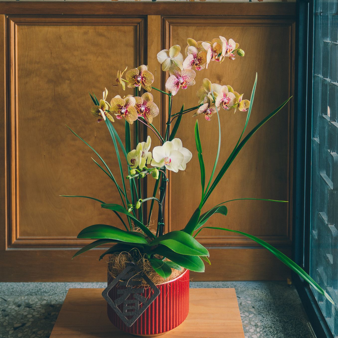 | 絳紅・迎春 (高) | 喜慶紅釉直紋高盆蘭花