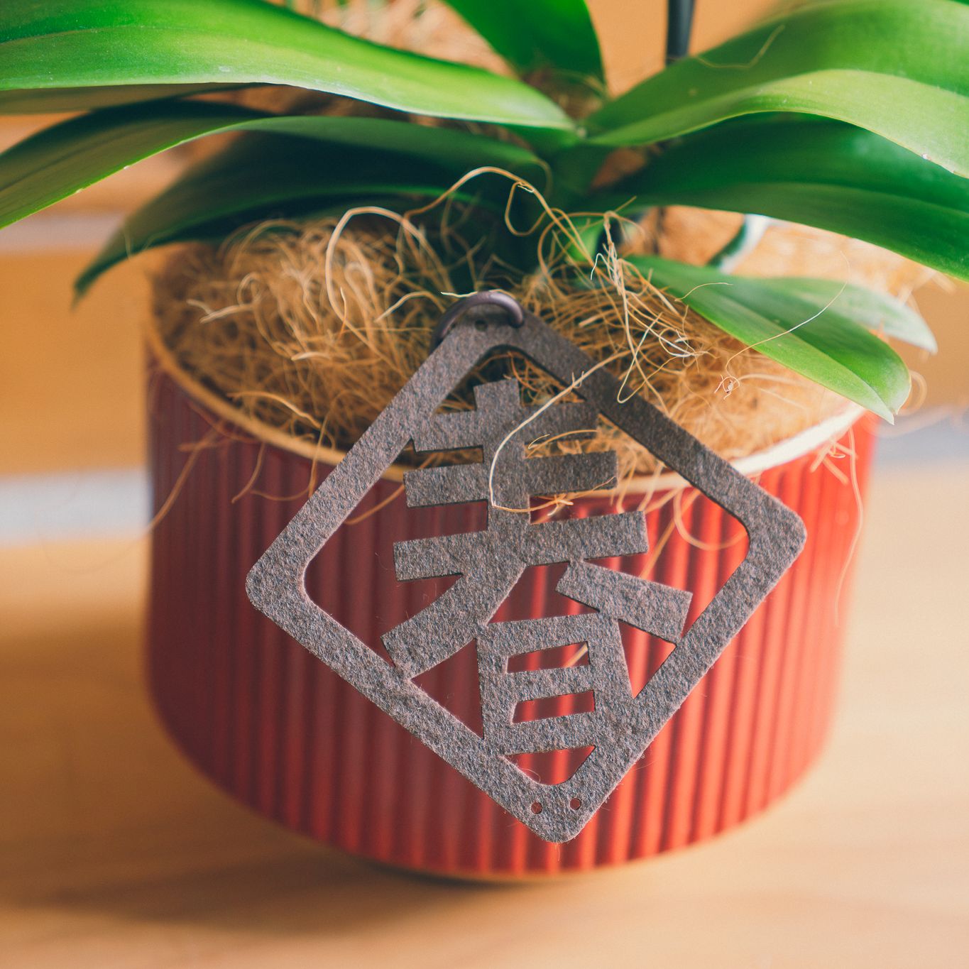 | 絳紅・迎春 (高) | 喜慶紅釉直紋高盆蘭花