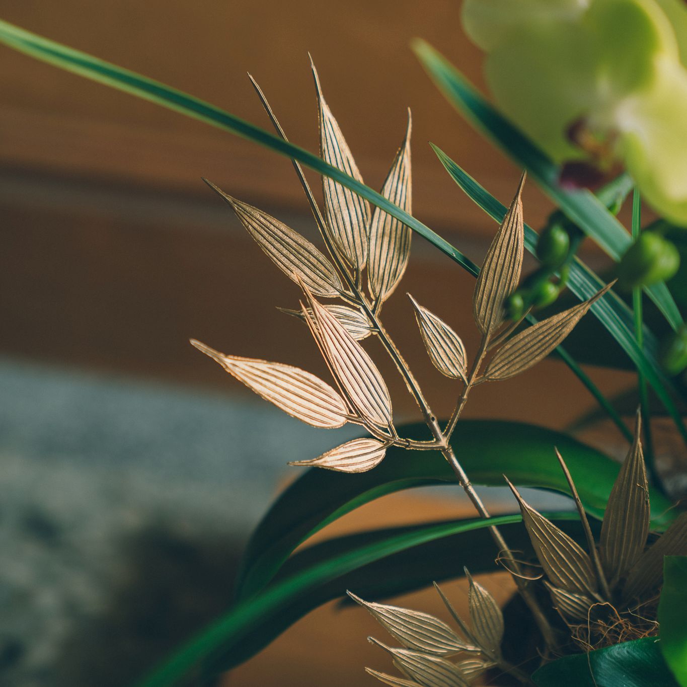 | 丹寶・招財 | 元寶造型紅盆蘭花