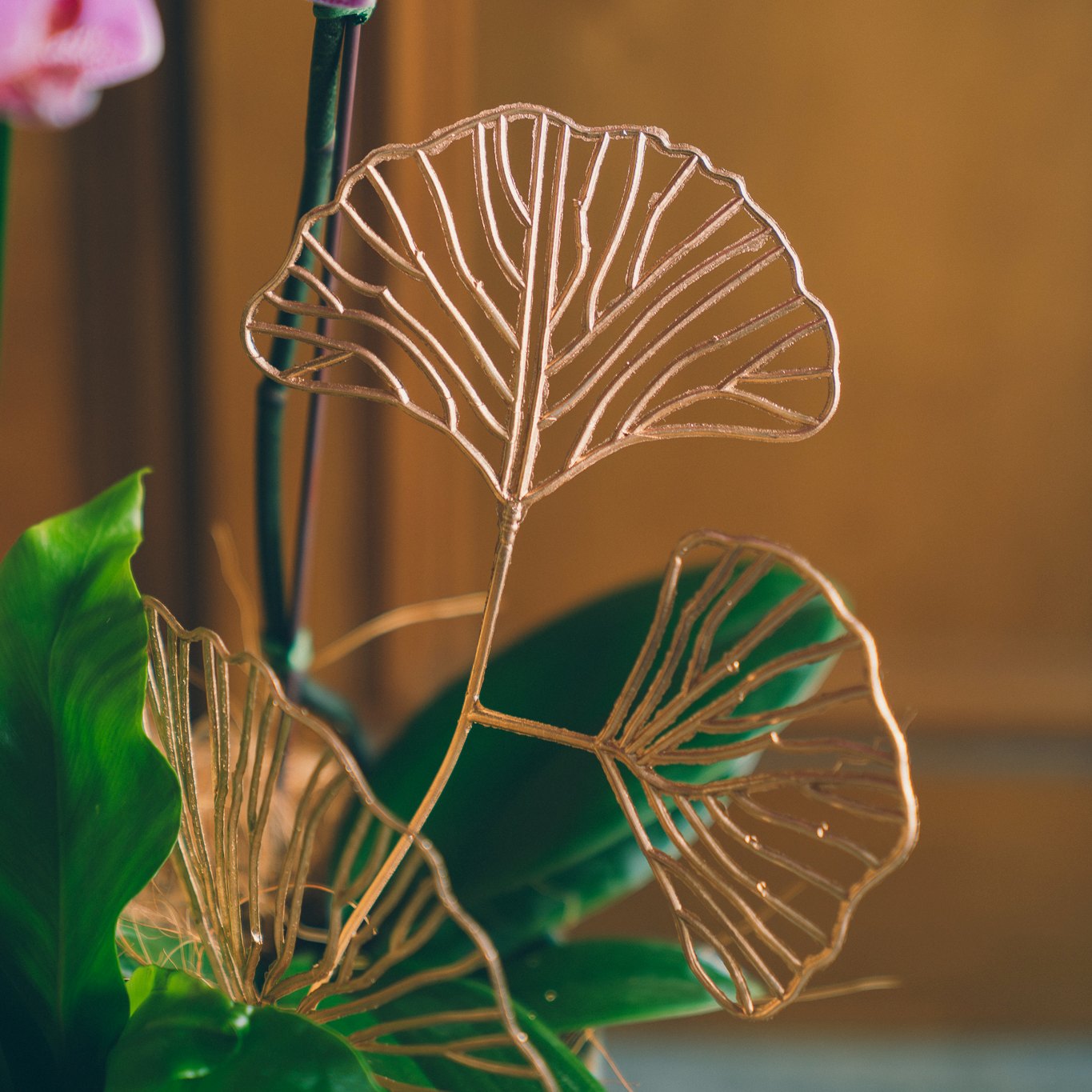 | 青石・雙禧 | 雙株粉蘭 / 銀杏裝飾