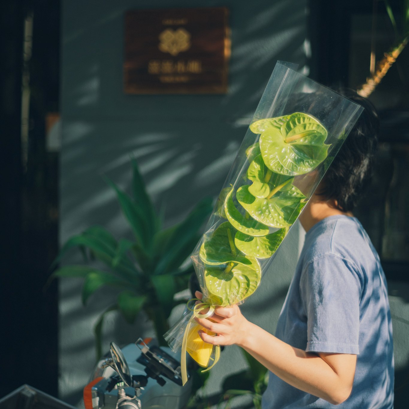 盛夏火鶴 ￭ 拾級而上(附贈薑薑好貼紙包)